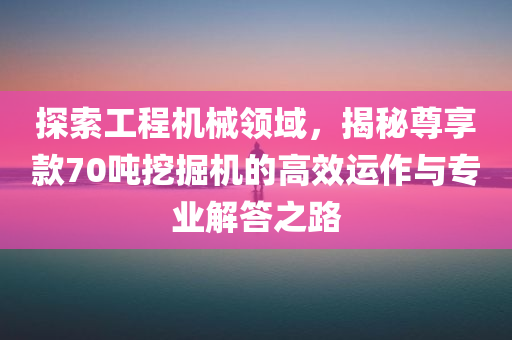 探索工程机械领域，揭秘尊享款70吨挖掘机的高效运作与专业解答之路