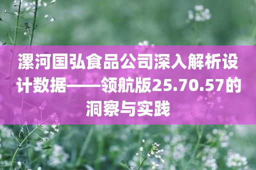 漯河国弘食品公司深入解析设计数据——领航版25.70.57的洞察与实践