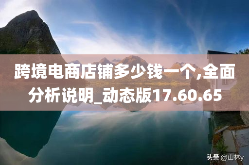 跨境电商店铺多少钱一个,全面分析说明_动态版17.60.65