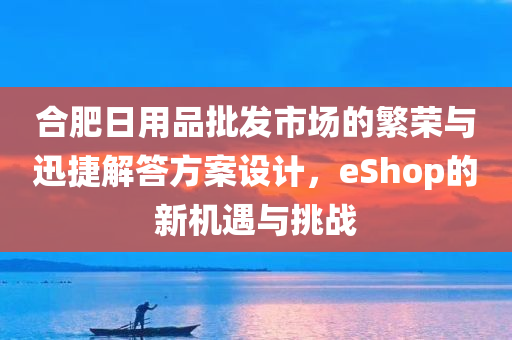 合肥日用品批发市场的繁荣与迅捷解答方案设计，eShop的新机遇与挑战