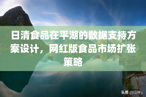 日清食品在平湖的数据支持方案设计，网红版食品市场扩张策略