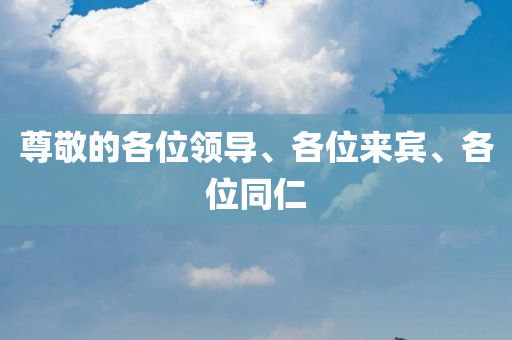 尊敬的各位领导、各位来宾、各位同仁