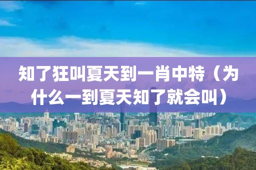 知了狂叫夏天到一肖中特（为什么一到夏天知了就会叫）