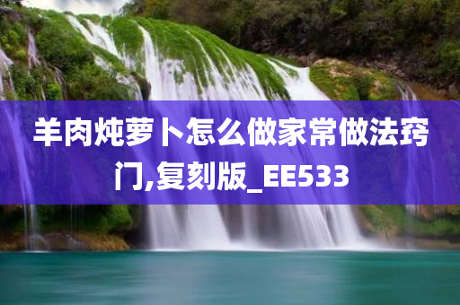 羊肉炖萝卜怎么做家常做法窍门,复刻版_EE533