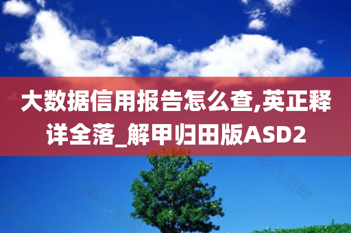 大数据信用报告怎么查,英正释详全落_解甲归田版ASD2