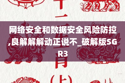 网络安全和数据安全风险防控,良解解解动正说不_破解版SGR3