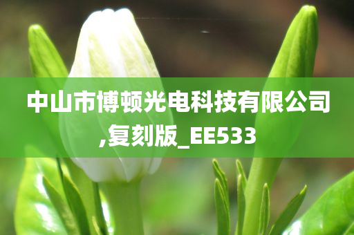 中山市博顿光电科技有限公司,复刻版_EE533