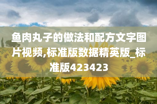 鱼肉丸子的做法和配方文字图片视频,标准版数据精英版_标准版423423