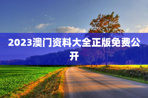 2023澳门资料大全正版免费公开