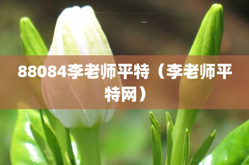 88084李老师平特（李老师平特网）