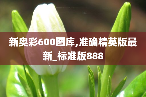 新奥彩600图库,准确精英版最新_标准版888