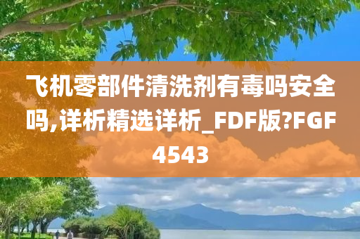 飞机零部件清洗剂有毒吗安全吗,详析精选详析_FDF版?FGF4543