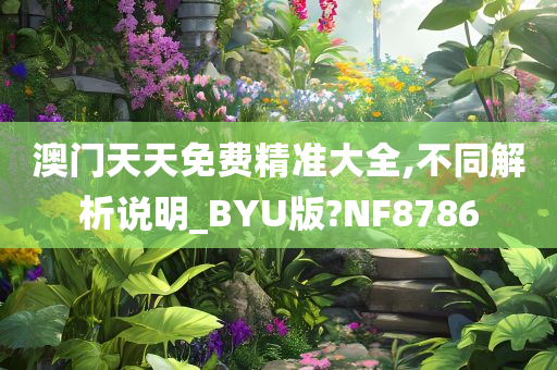 澳门天天免费精准大全,不同解析说明_BYU版?NF8786