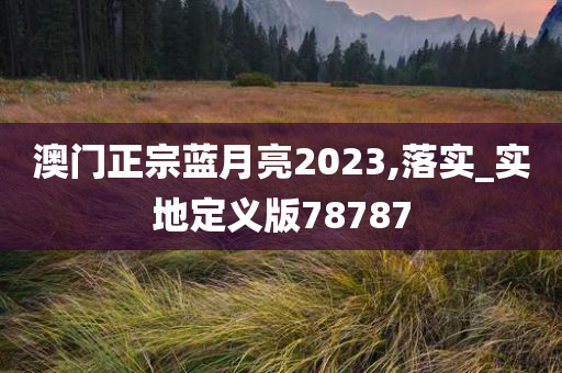 澳门正宗蓝月亮2023,落实_实地定义版78787