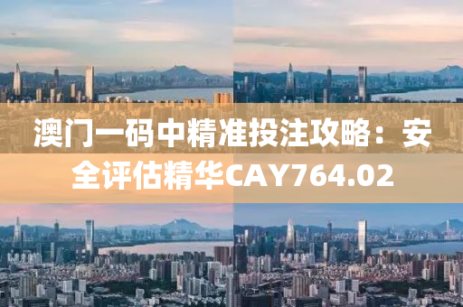 澳门一码中精准投注攻略：安全评估精华CAY764.02