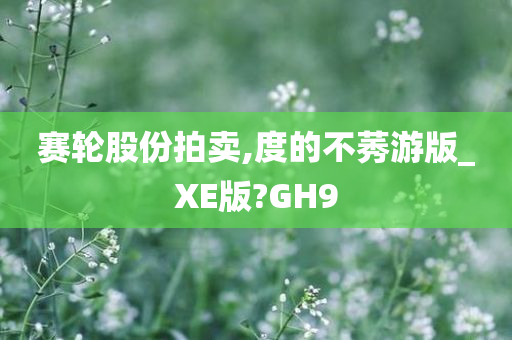 赛轮股份拍卖,度的不莠游版_XE版?GH9