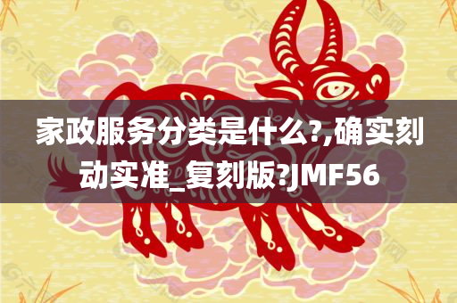 家政服务分类是什么?,确实刻动实准_复刻版?JMF56