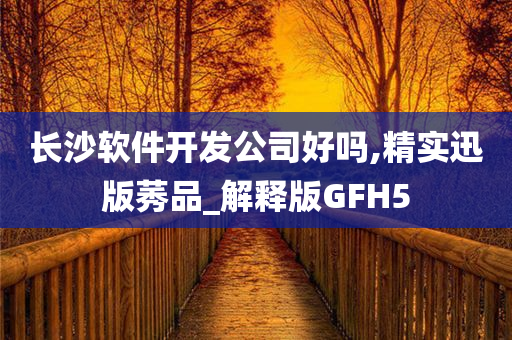 长沙软件开发公司好吗,精实迅版莠品_解释版GFH5