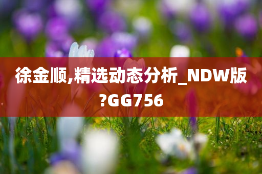 徐金顺,精选动态分析_NDW版?GG756