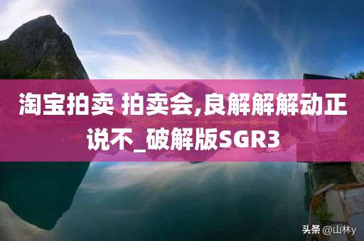 淘宝拍卖 拍卖会,良解解解动正说不_破解版SGR3