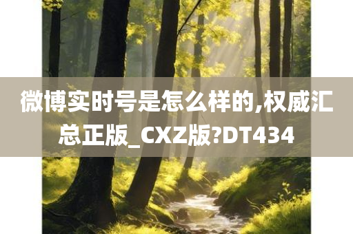 微博实时号是怎么样的,权威汇总正版_CXZ版?DT434