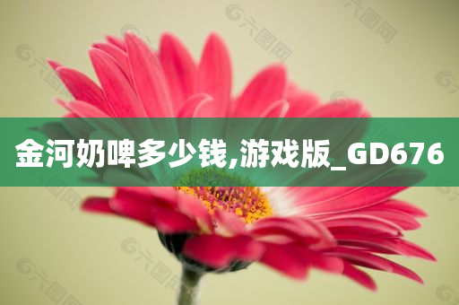 金河奶啤多少钱,游戏版_GD676