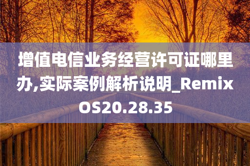 增值电信业务经营许可证哪里办,实际案例解析说明_RemixOS20.28.35