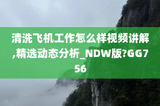 清洗飞机工作怎么样视频讲解,精选动态分析_NDW版?GG756