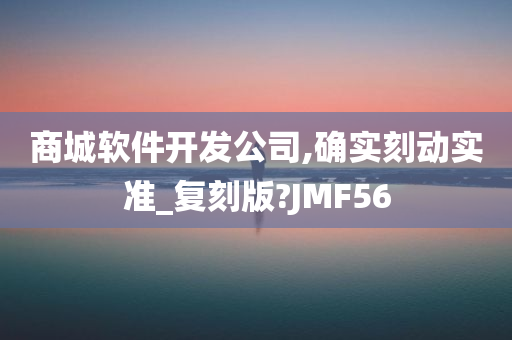 商城软件开发公司,确实刻动实准_复刻版?JMF56