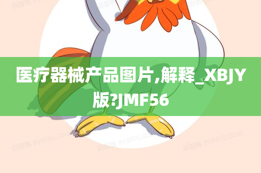 医疗器械产品图片,解释_XBJY版?JMF56