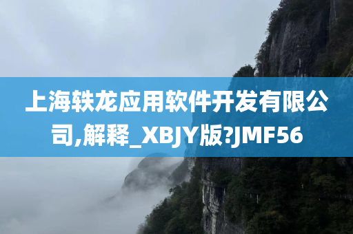 上海轶龙应用软件开发有限公司,解释_XBJY版?JMF56