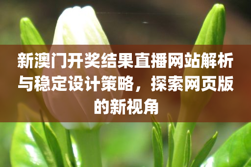 新澳门开奖结果直播网站解析与稳定设计策略，探索网页版的新视角