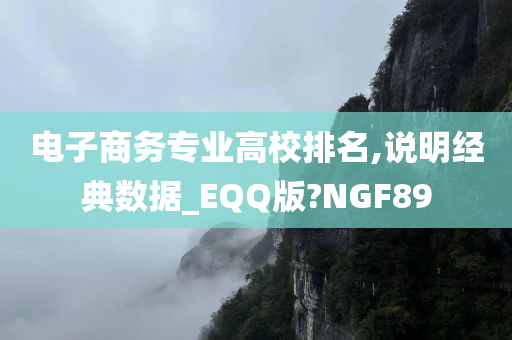 电子商务专业高校排名,说明经典数据_EQQ版?NGF89