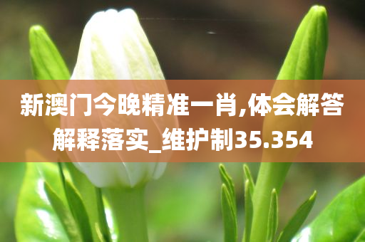 新澳门今晚精准一肖,体会解答解释落实_维护制35.354