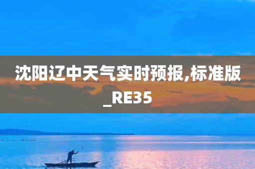 沈阳辽中天气实时预报,标准版_RE35