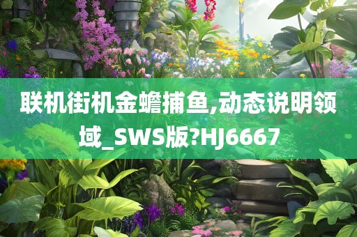 联机街机金蟾捕鱼,动态说明领域_SWS版?HJ6667