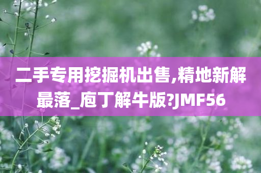 二手专用挖掘机出售,精地新解最落_庖丁解牛版?JMF56