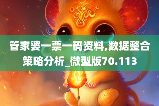 管家婆一票一码资料,数据整合策略分析_微型版70.113