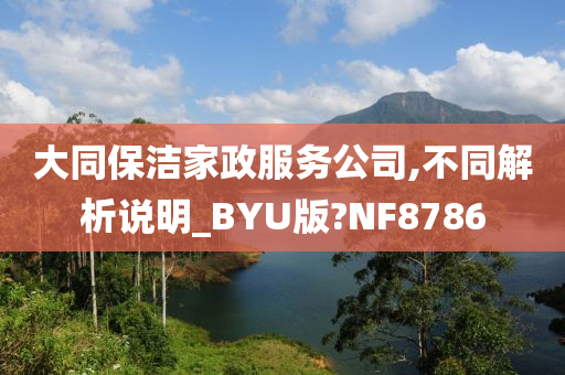 大同保洁家政服务公司,不同解析说明_BYU版?NF8786