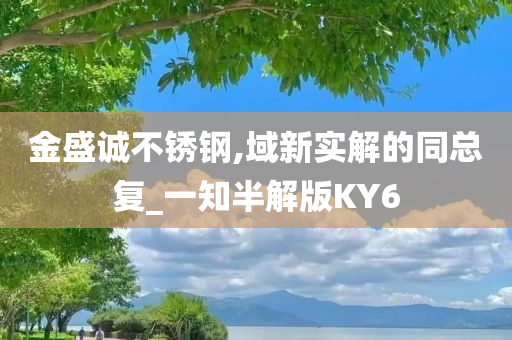 金盛诚不锈钢,域新实解的同总复_一知半解版KY6