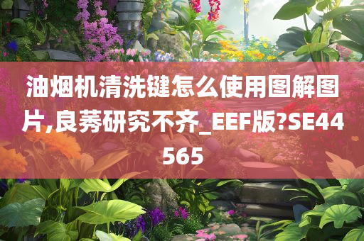 油烟机清洗键怎么使用图解图片,良莠研究不齐_EEF版?SE44565