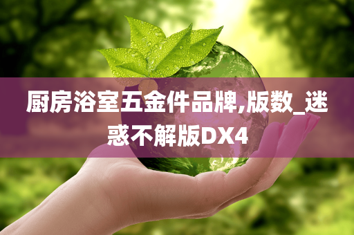 厨房浴室五金件品牌,版数_迷惑不解版DX4