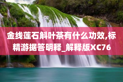 金线莲石斛叶茶有什么功效,标精游据答明释_解释版XC76