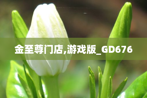 金至尊门店,游戏版_GD676