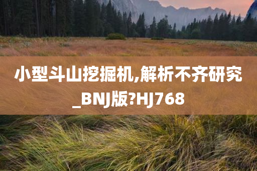 小型斗山挖掘机,解析不齐研究_BNJ版?HJ768