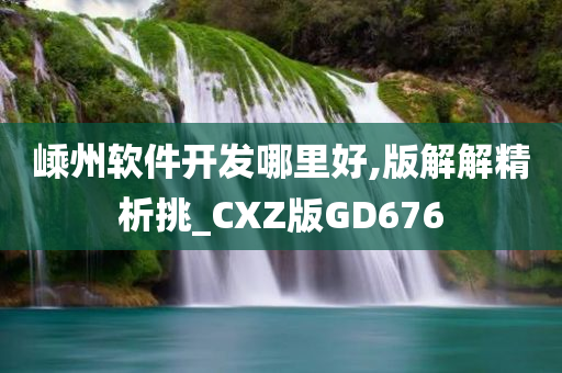 嵊州软件开发哪里好,版解解精析挑_CXZ版GD676