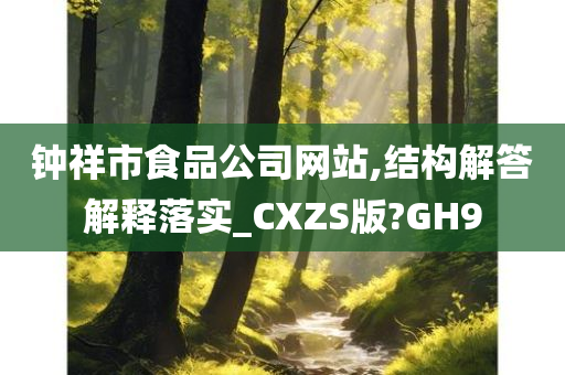 钟祥市食品公司网站,结构解答解释落实_CXZS版?GH9