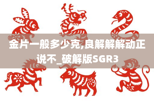 金片一般多少克,良解解解动正说不_破解版SGR3