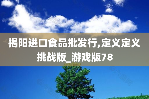 揭阳进口食品批发行,定义定义挑战版_游戏版78