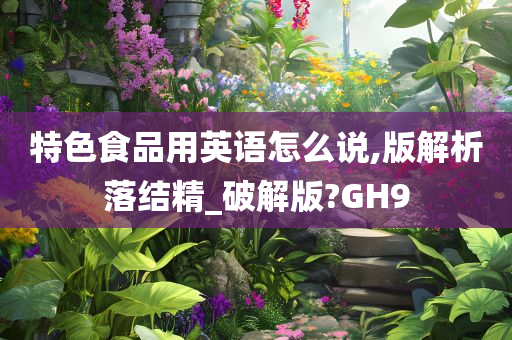 特色食品用英语怎么说,版解析落结精_破解版?GH9